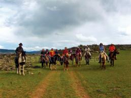 Horse Ride Horse Ride