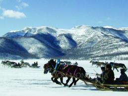 Horser sled Horse sled