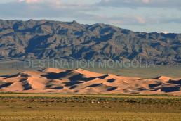Khongor sand dunes Khongor sand dunes