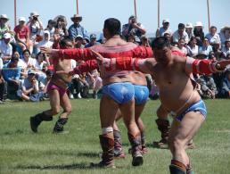 Wrestling Wrestling