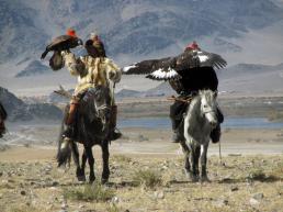 Altai Eagle