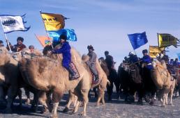 Camel Festival Camel Festival
